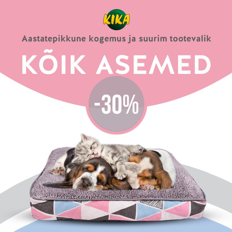 Kika KIKA kuupakkumine!