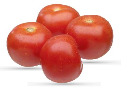 Tomaatti