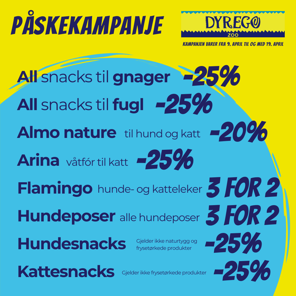Dyrego