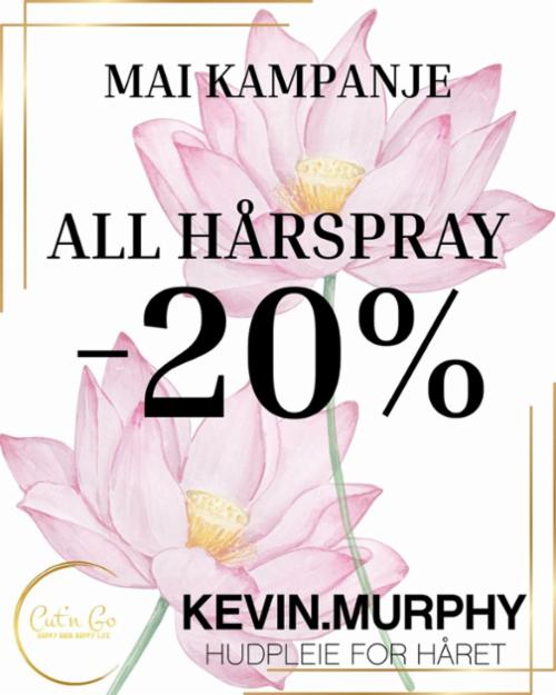 Hårspray fra Kevin Murphy