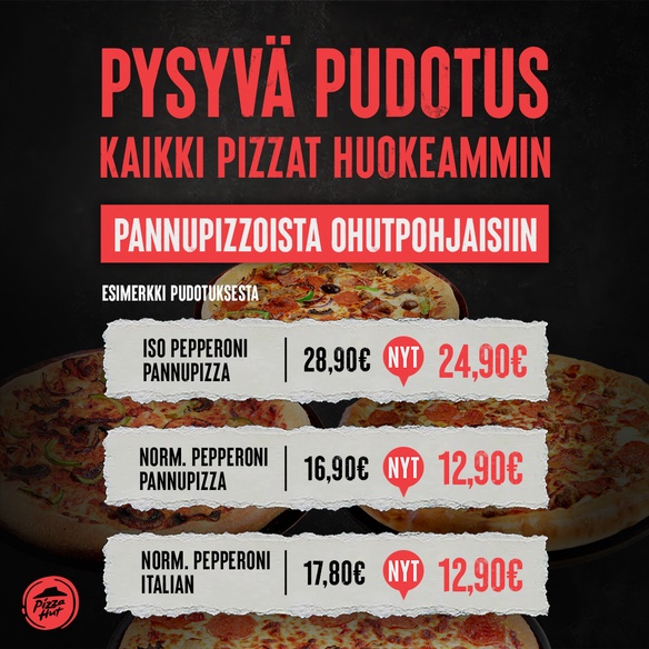 PYSYVÄ PUDOTUS