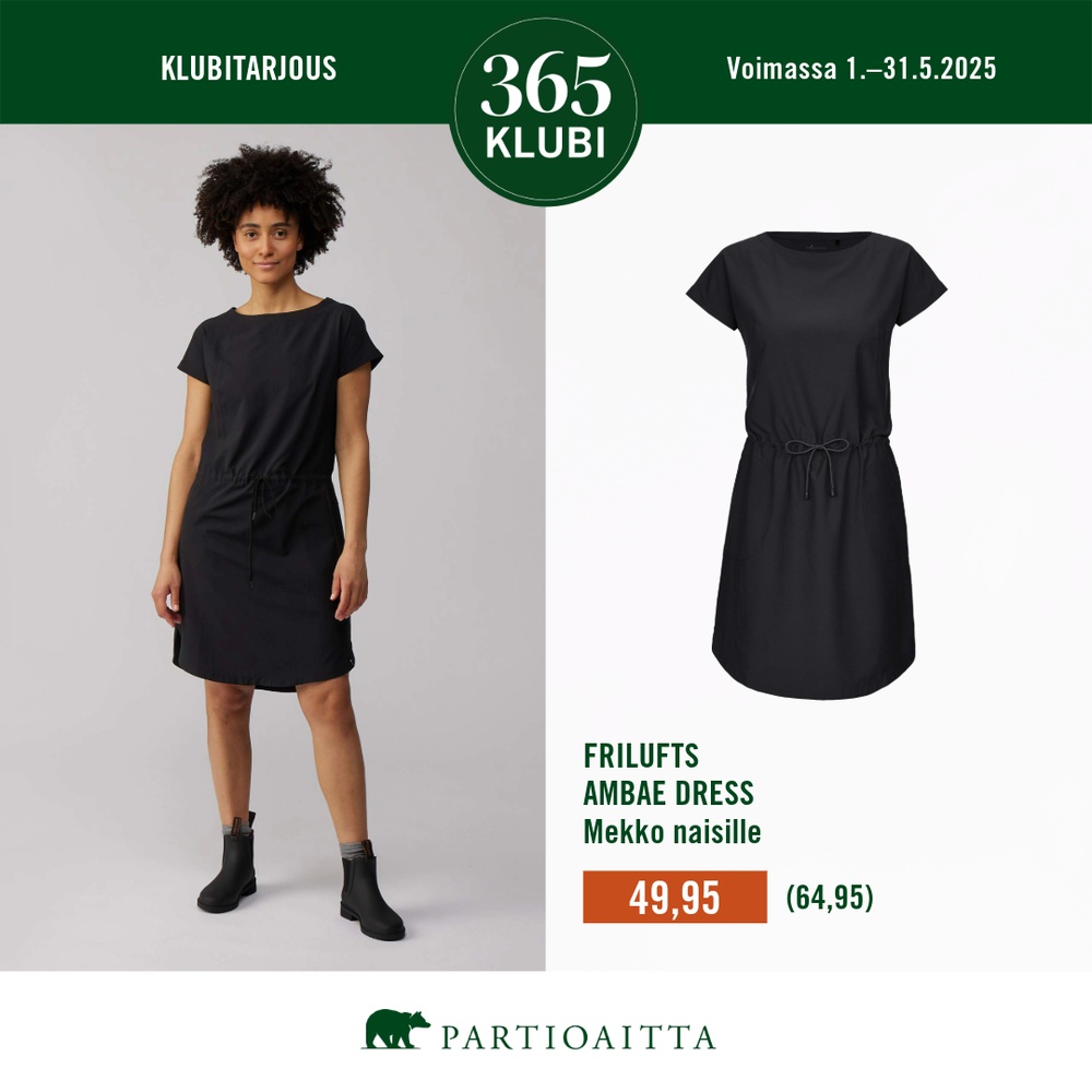 Partioaitta