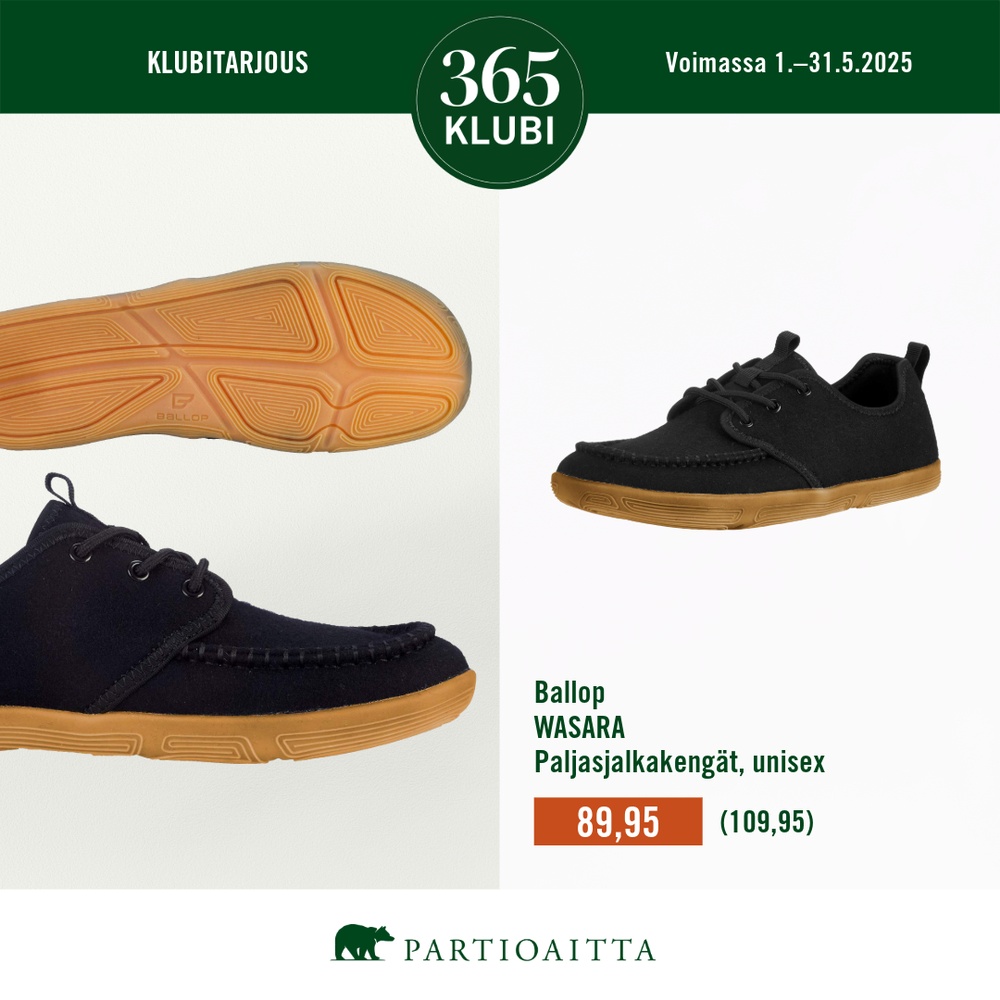 Partioaitta