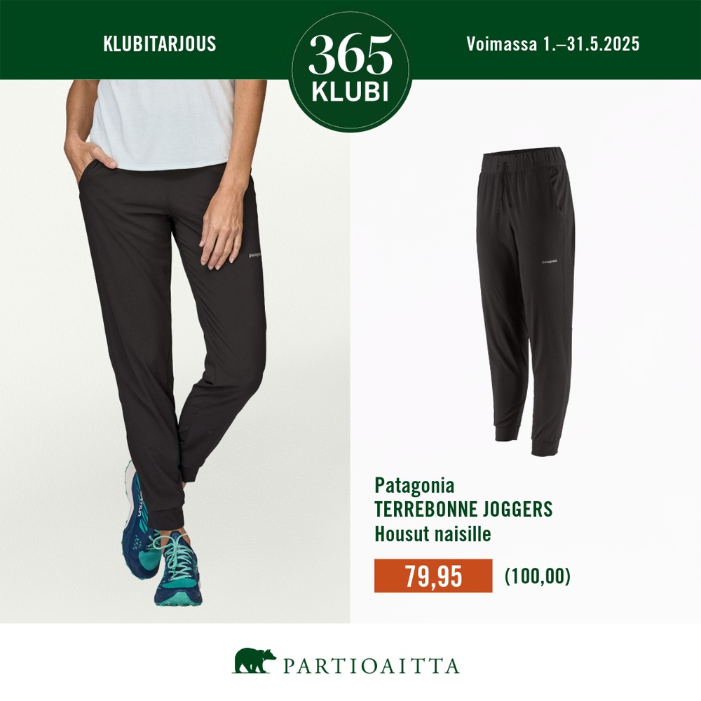 Partioaitta