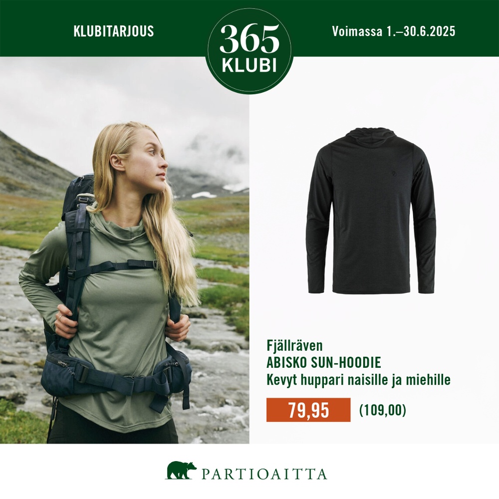 Partioaitta