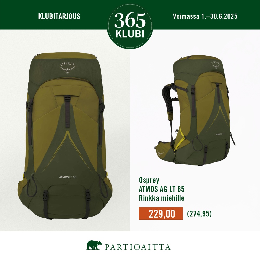 Partioaitta