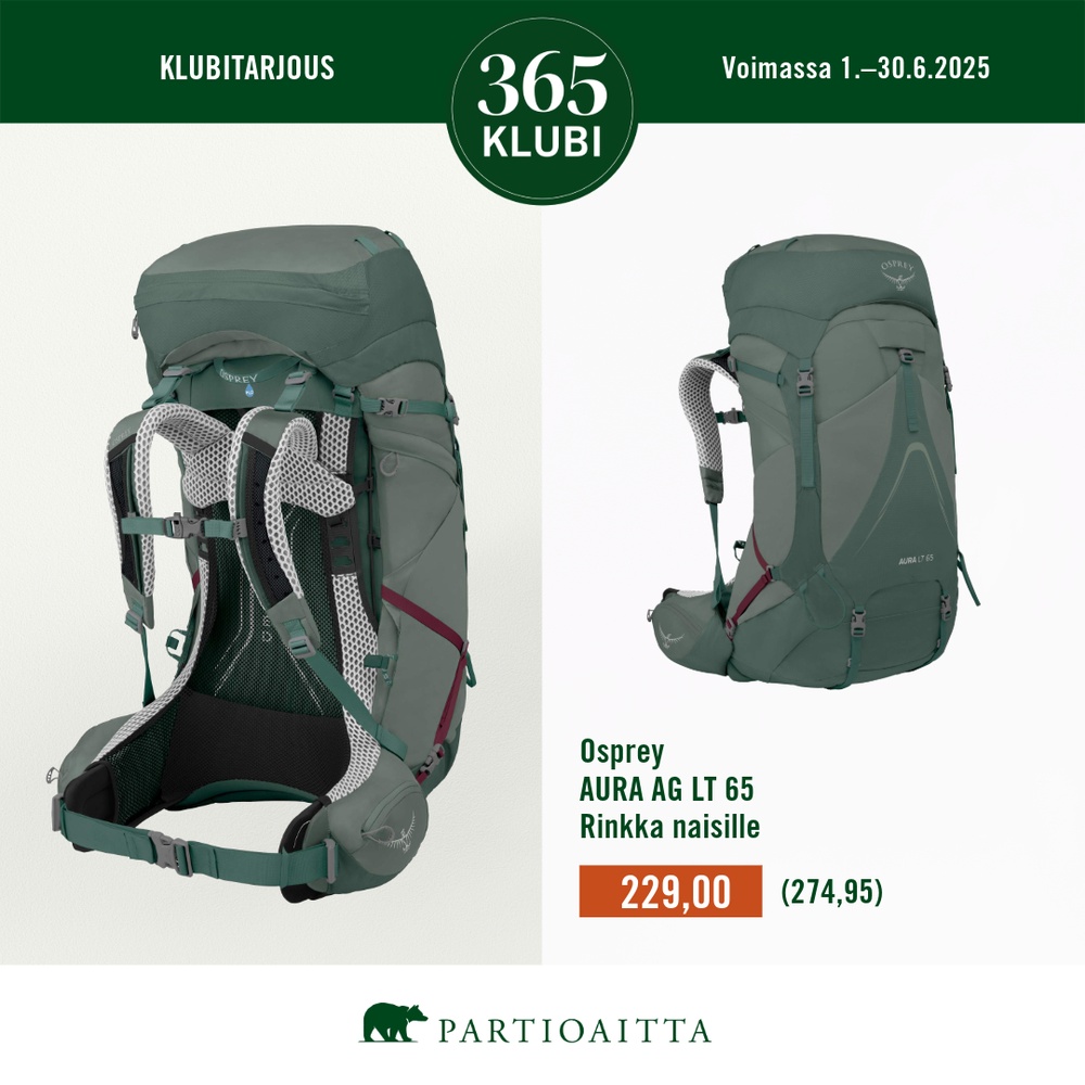 Partioaitta