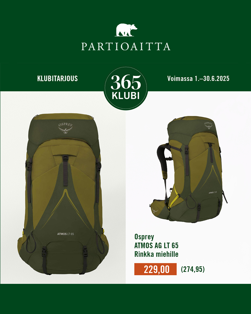 Partioaitta