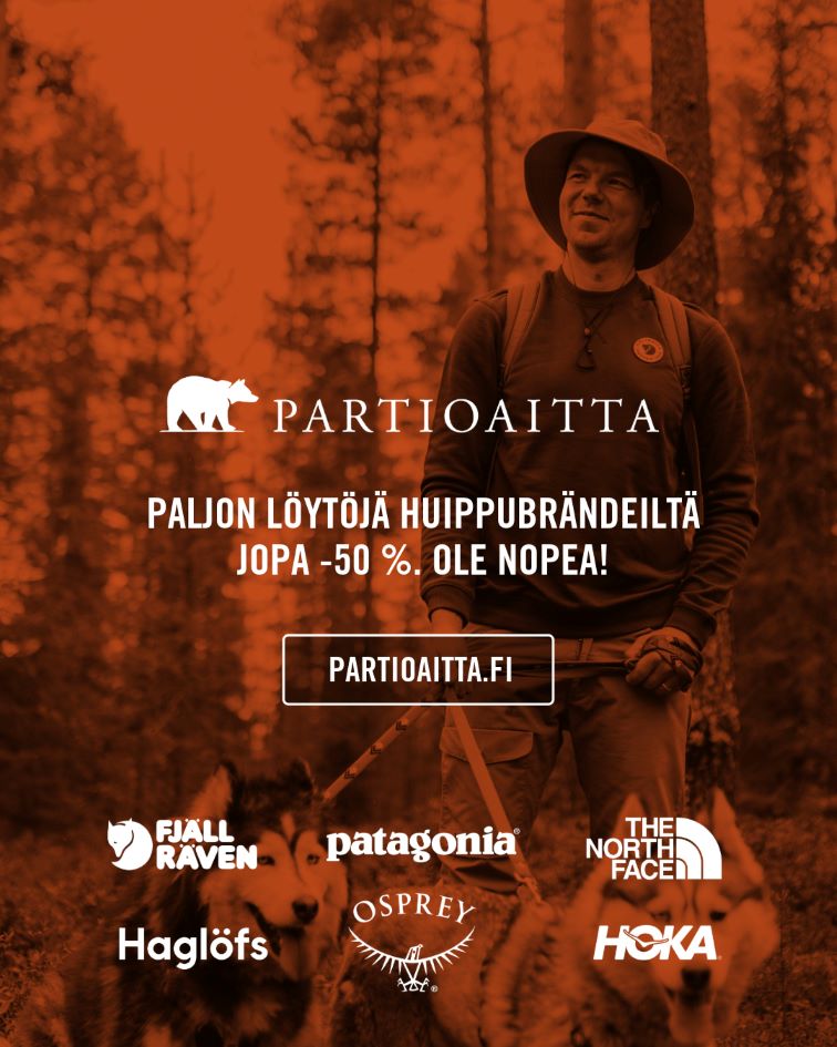 Partioaitta
