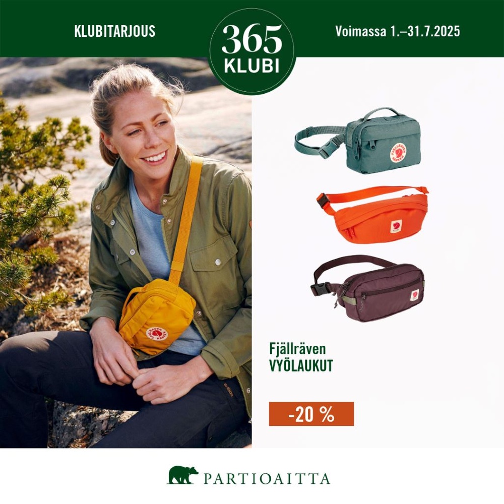 Partioaitta