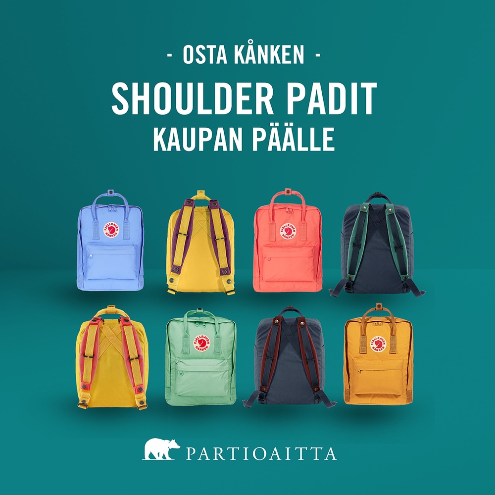 Partioaitta