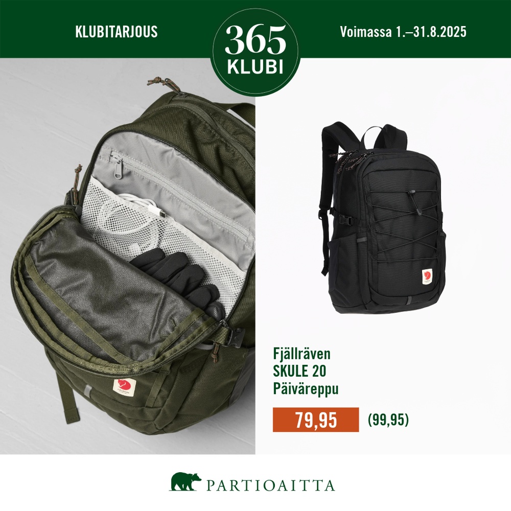 Partioaitta