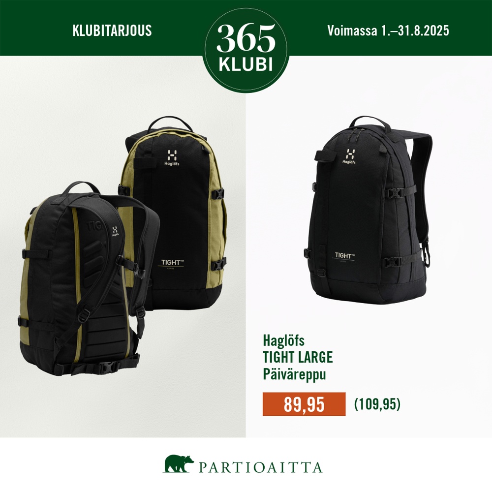 Partioaitta