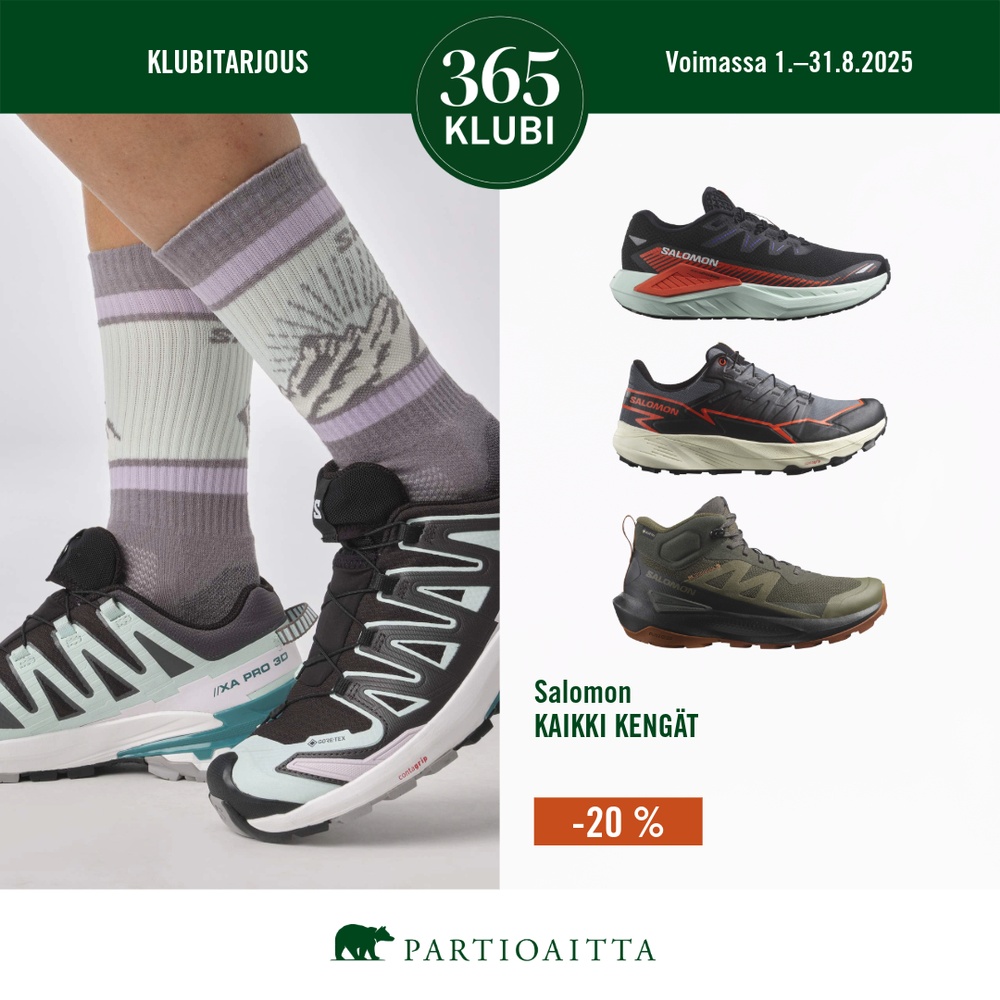 Partioaitta