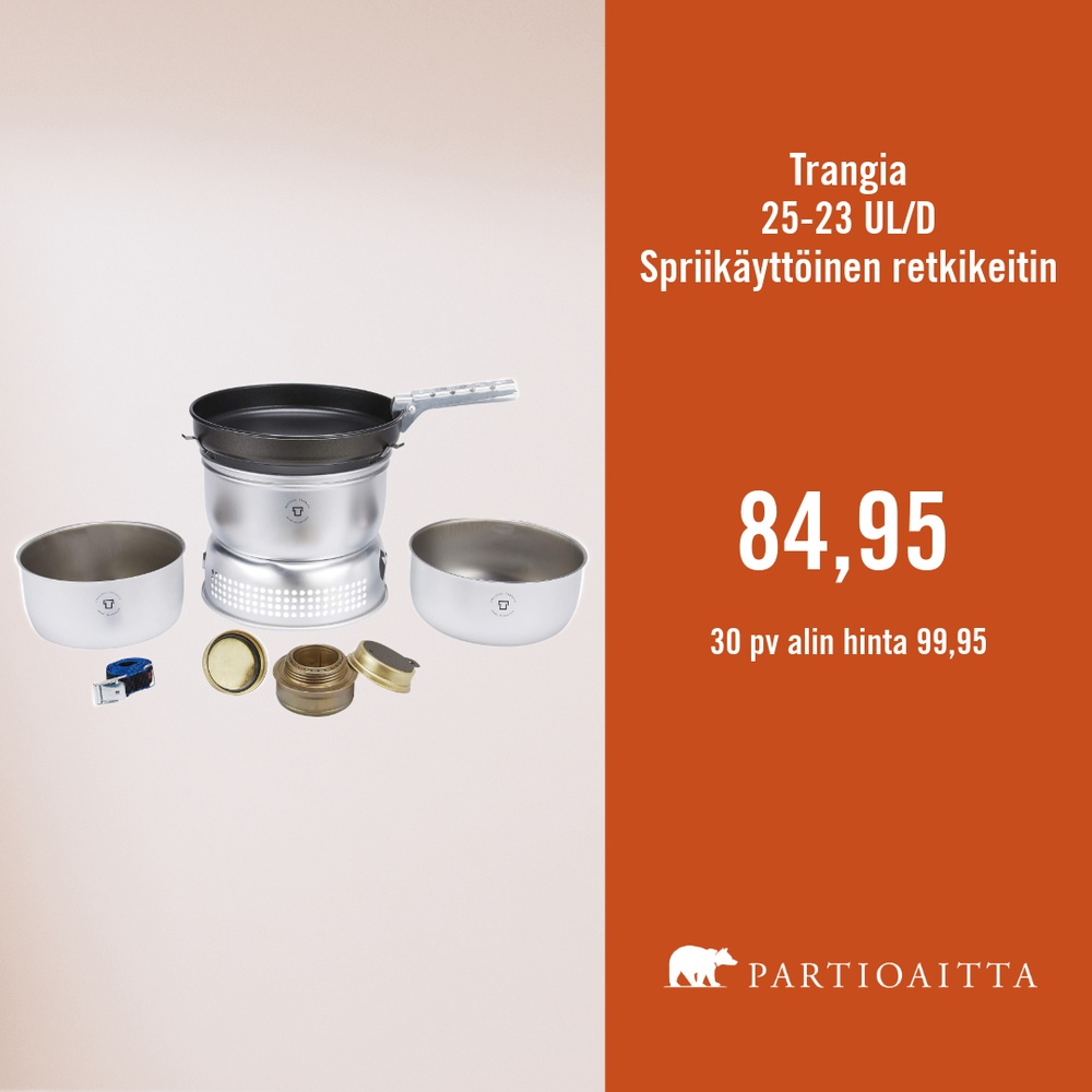 Partioaitta
