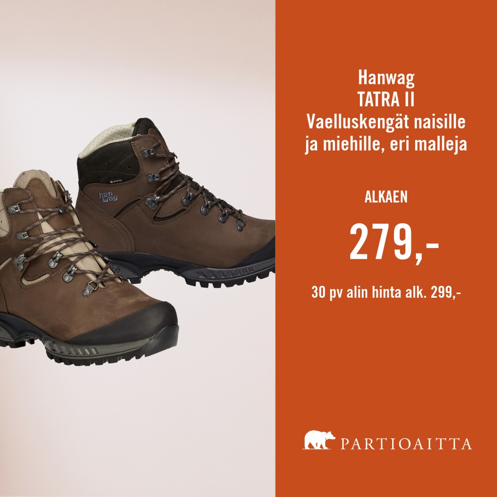 Partioaitta