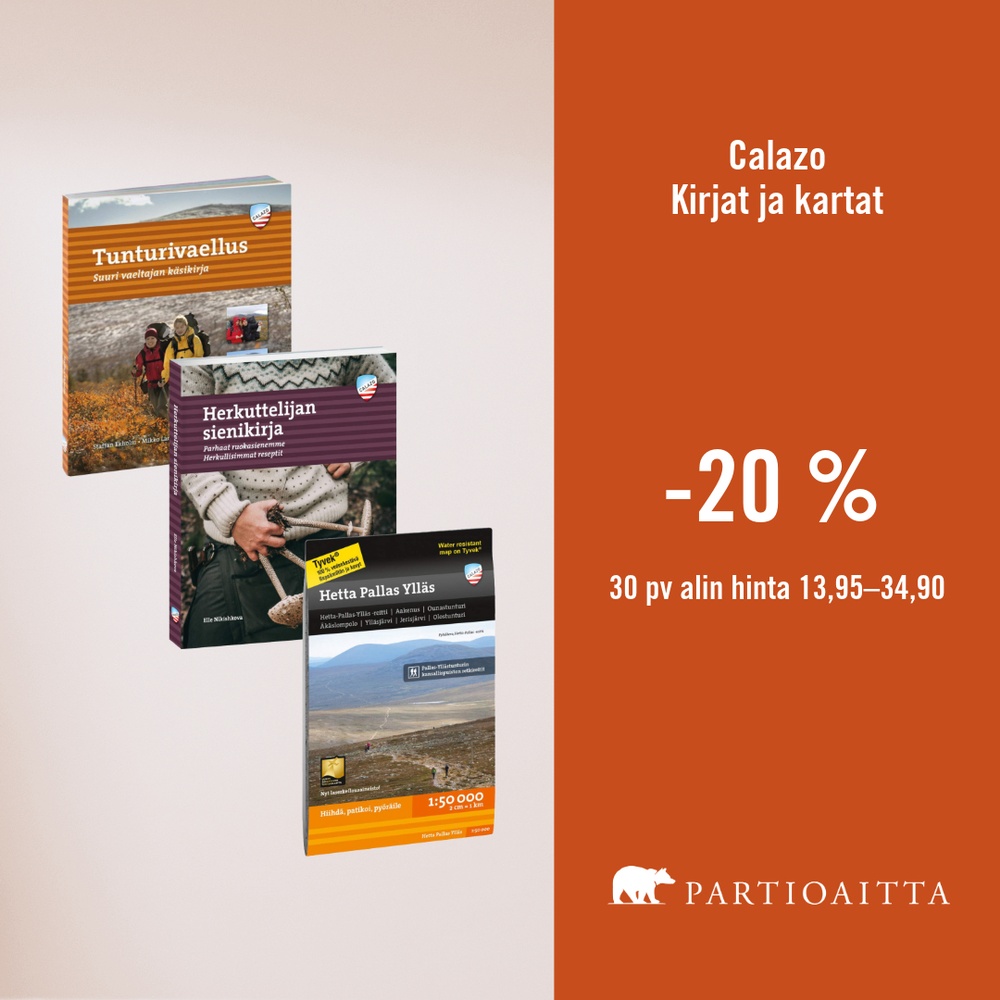 Partioaitta