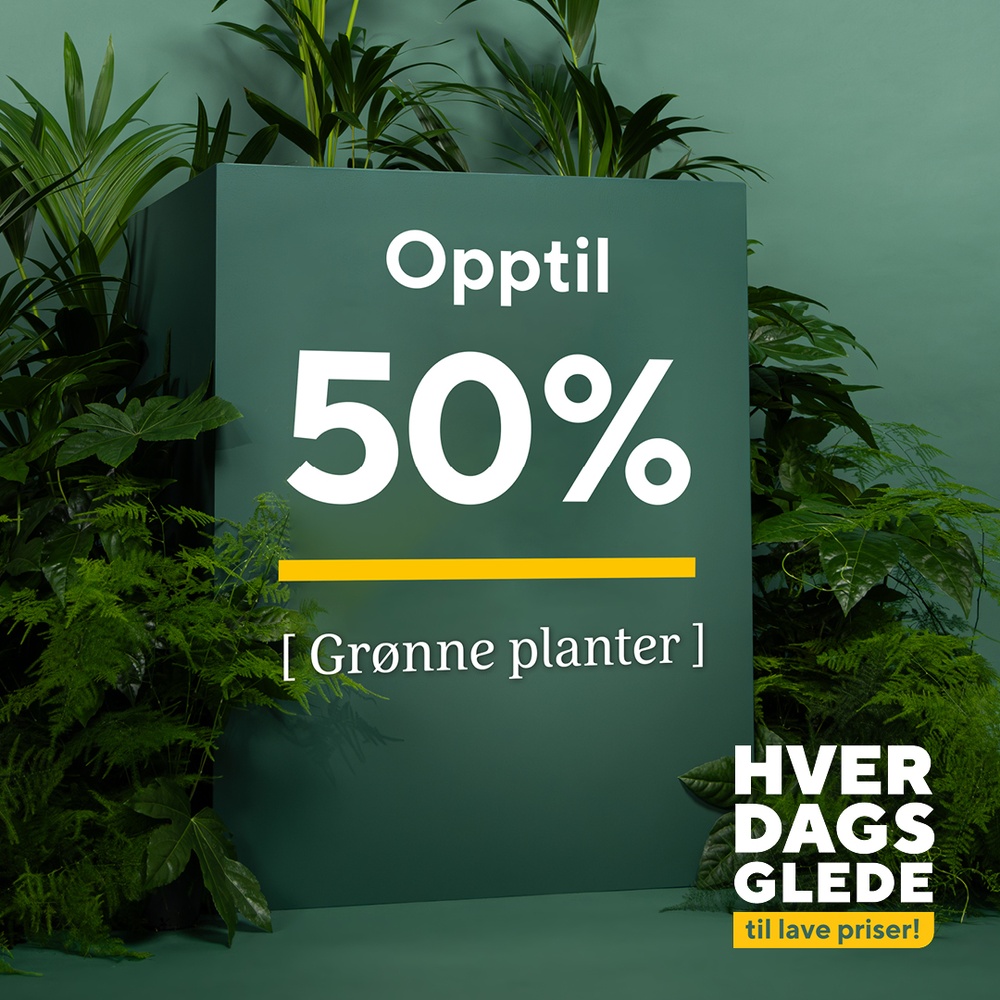 Mester Grønn