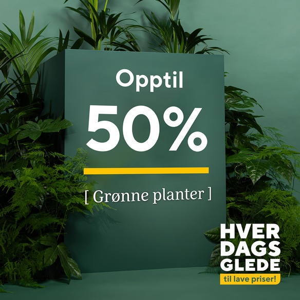 Mester Grønn 