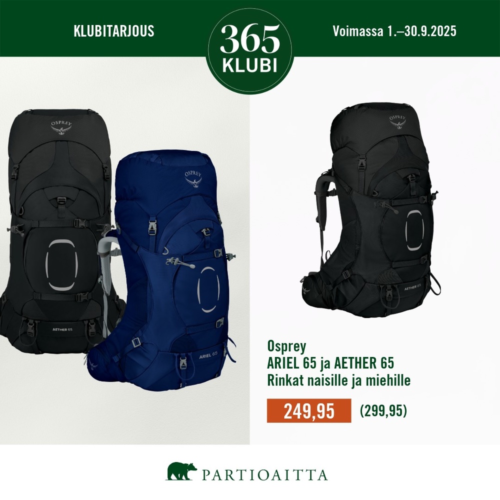 Partioaitta