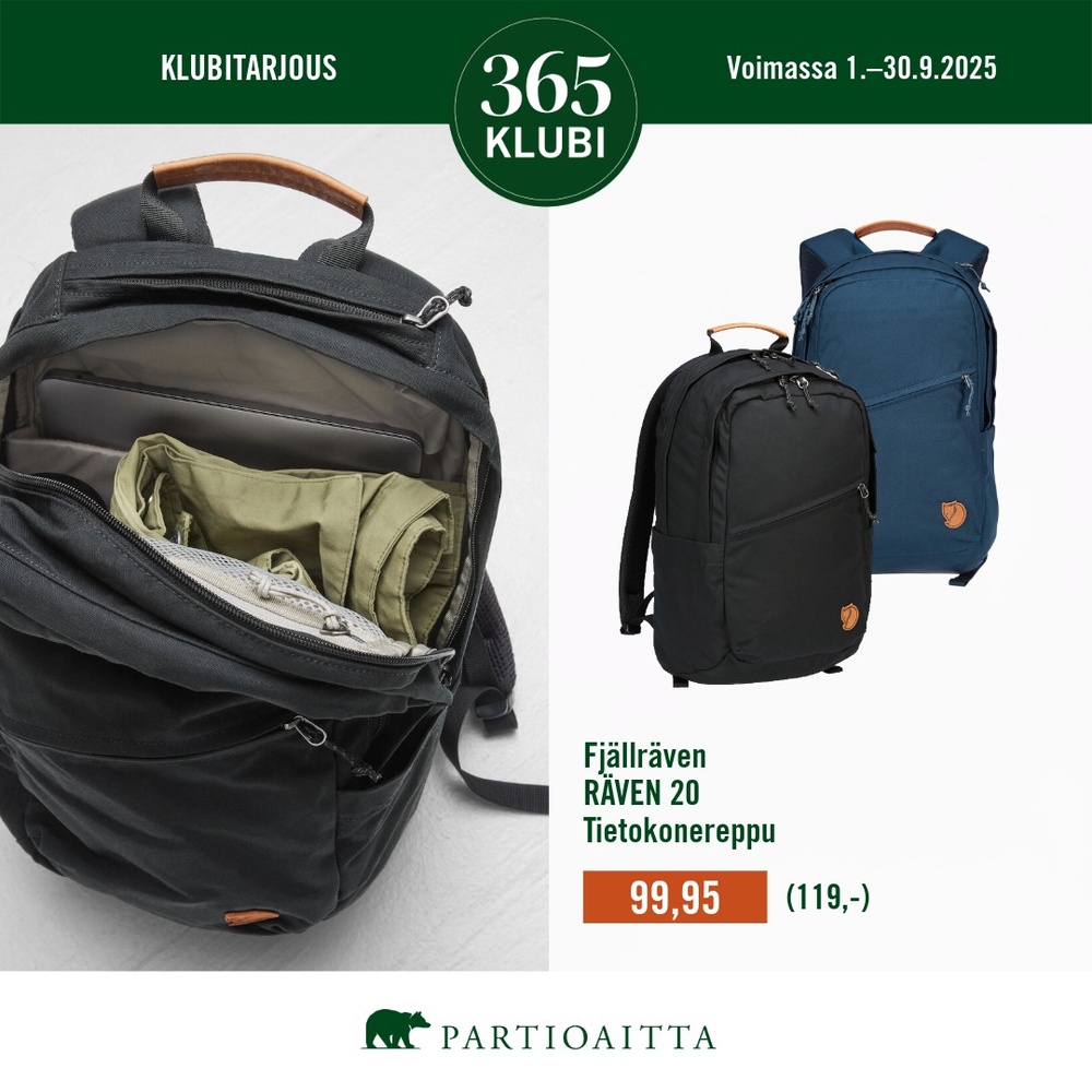 Partioaitta