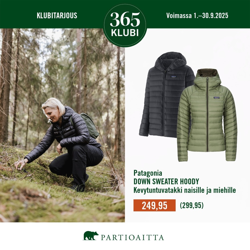 Partioaitta