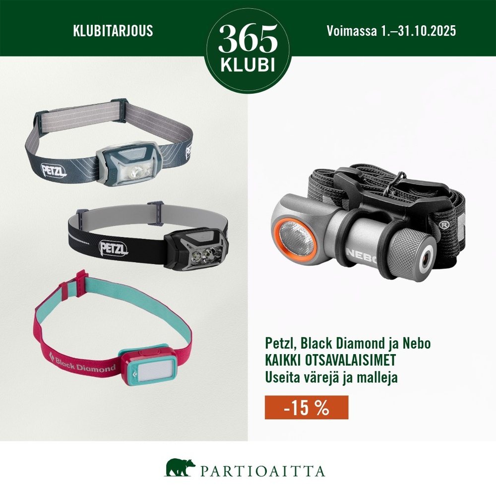 Partioaitta