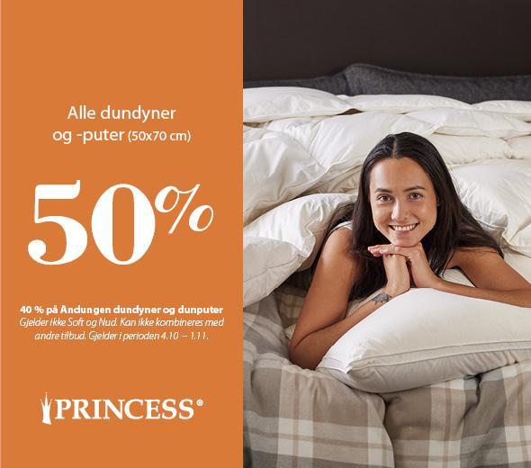 Princess Interiør