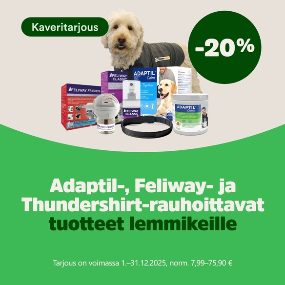 KUUKAUDEN KAVERITARJOUS