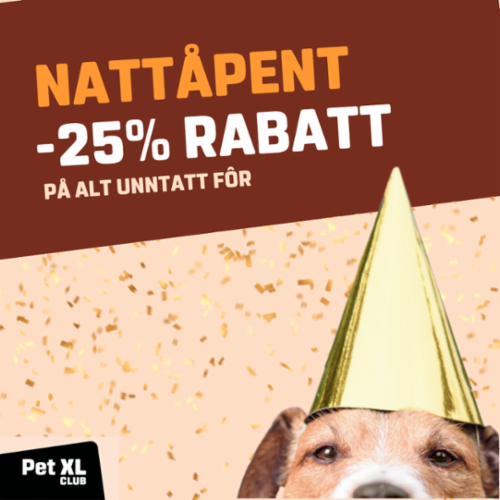 Nattåpent 11 des 25