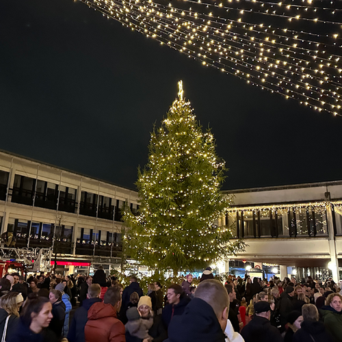 Juletræstænding d. 22/11