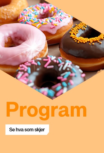 Salgsfest program