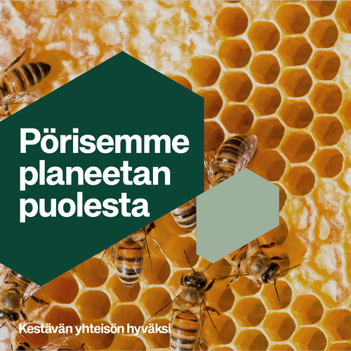 Pörrää mehiläispäivään tiistaina 20.5.