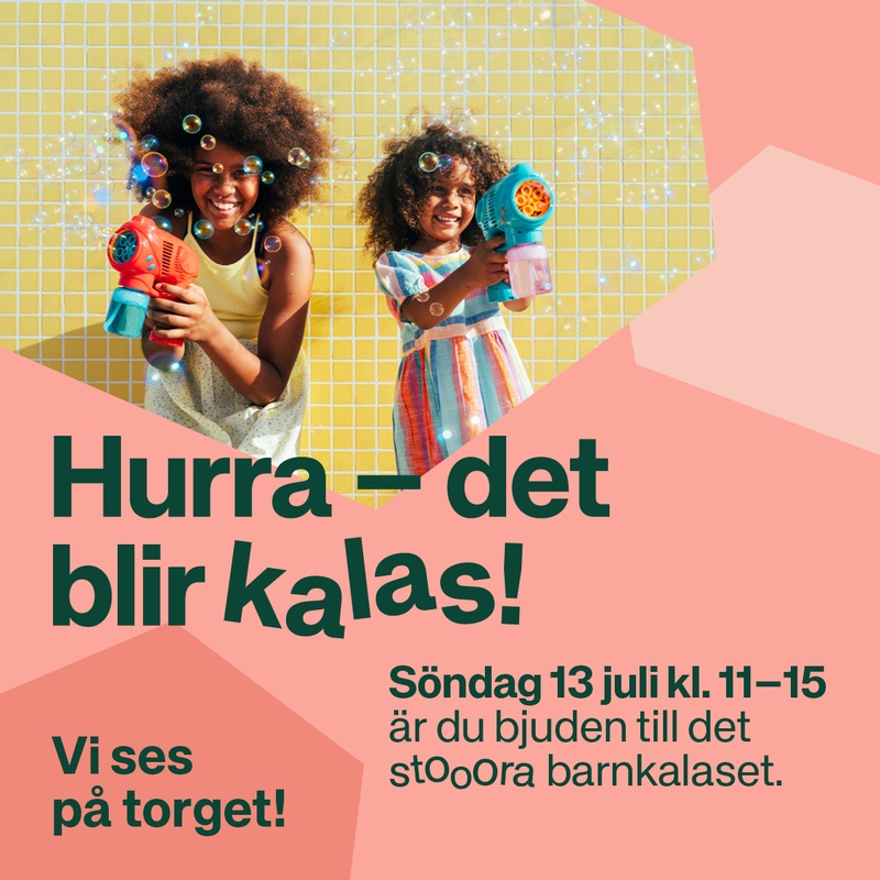 Kalasprogram