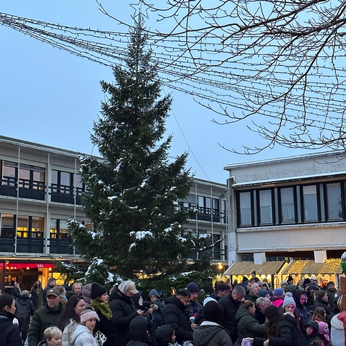 Juletræstænding d. 21/11