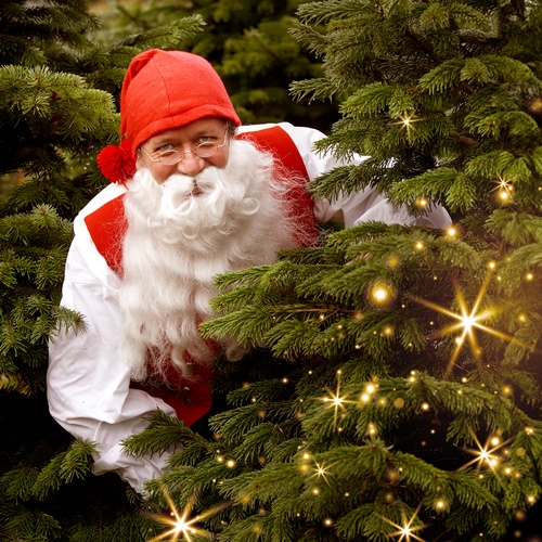 Besøk nissen i treet