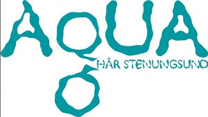 Aqua Hår
