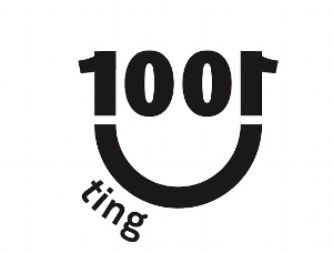 1001 Ting