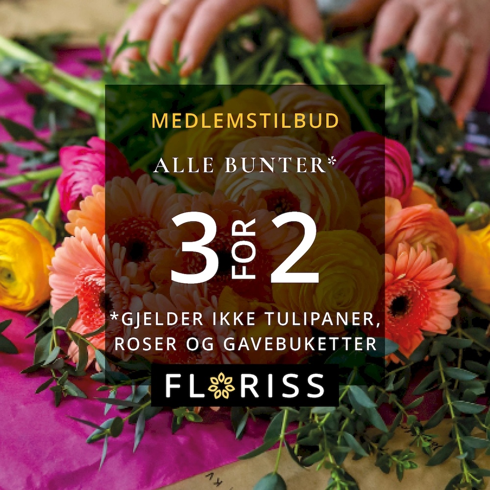 Floriss Solsiden