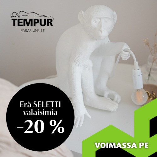 Erä Seletti -valaisimia