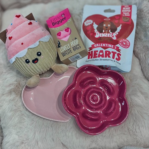 Ystävänpäiväviikko