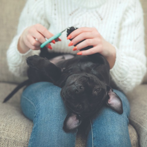 Tassuspa lauantaina 14-16