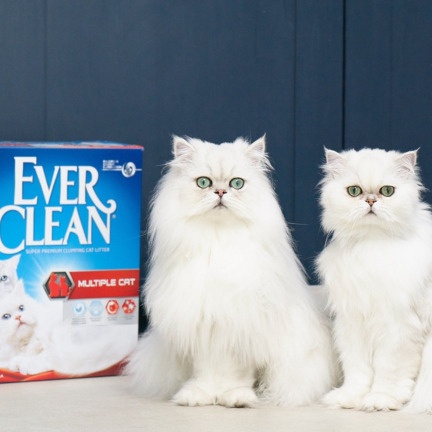 EverClean kattesand