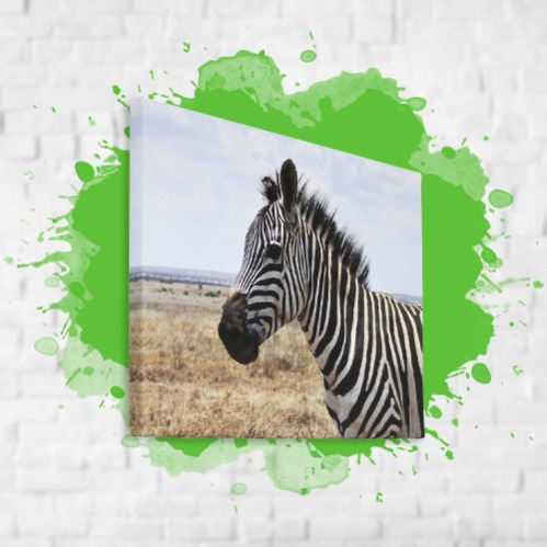 30x40cm canvas-taulu