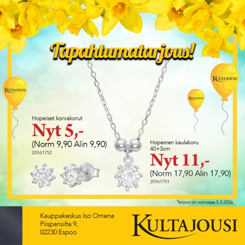 Ylellinen hopeasetti