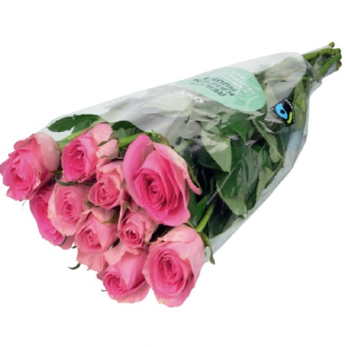 Reilun kaupan ruusu 10kpl