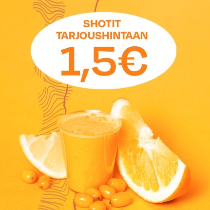 Inkivääri-tai tyrnishotti