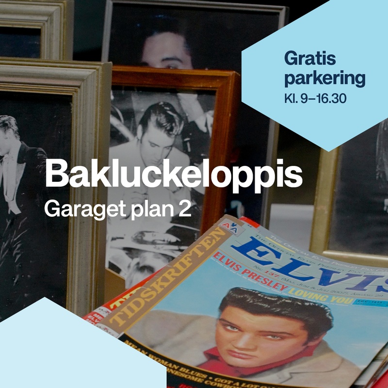 Datum för Bakluckeloppis