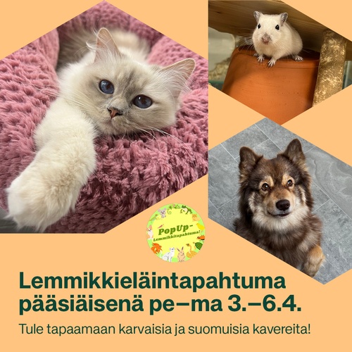 Pop Up-Lemmikkitapahtuma pääsiäisenä 3.-6.4.