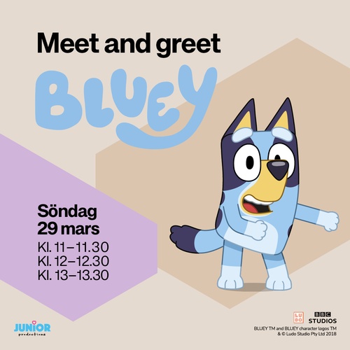 Meet and greet med Bluey